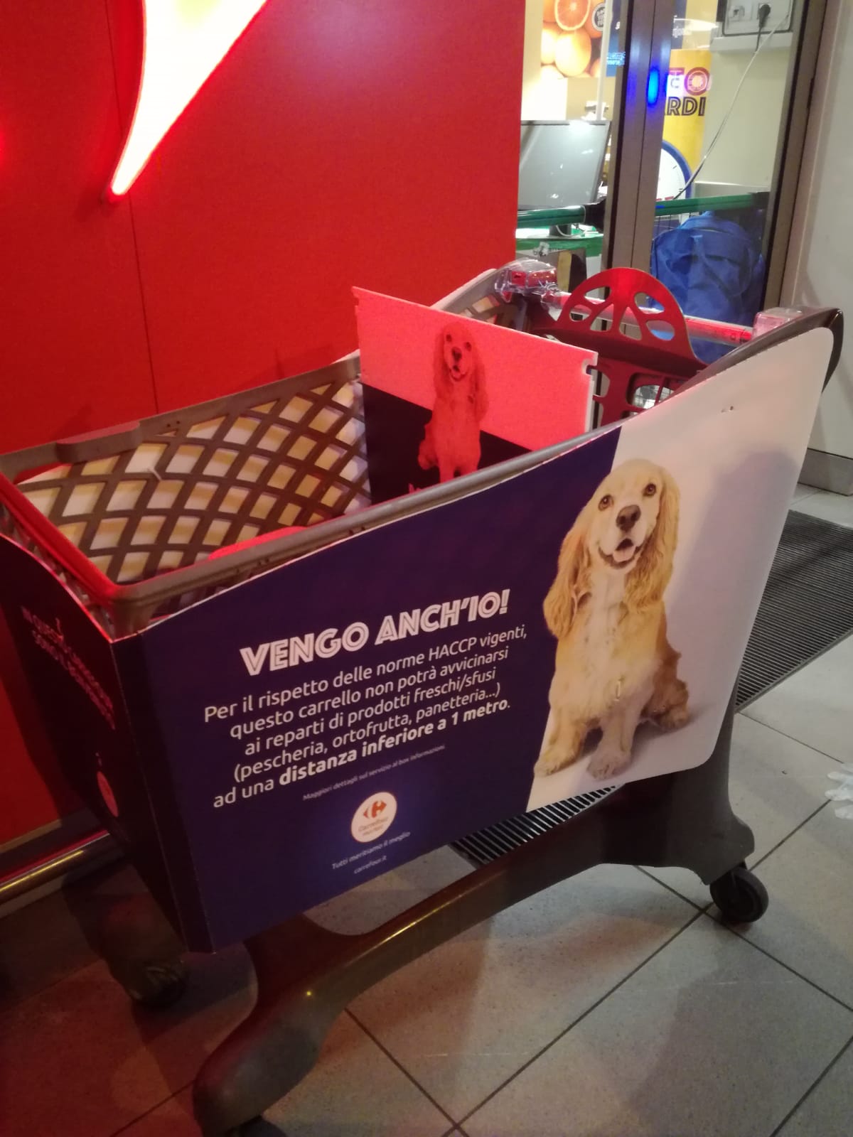 La spesa col carrello per cani - VareseNews - Foto