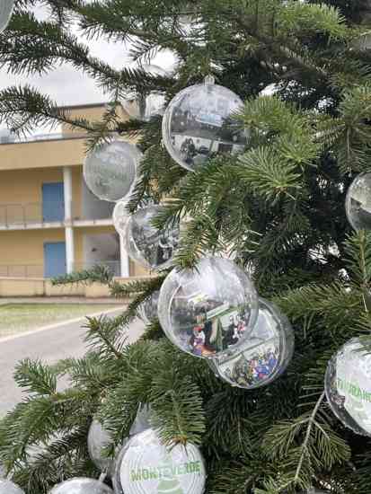 Al Moscati si rinnova l’appuntamentocon gli alberi di Natale della prevenzione