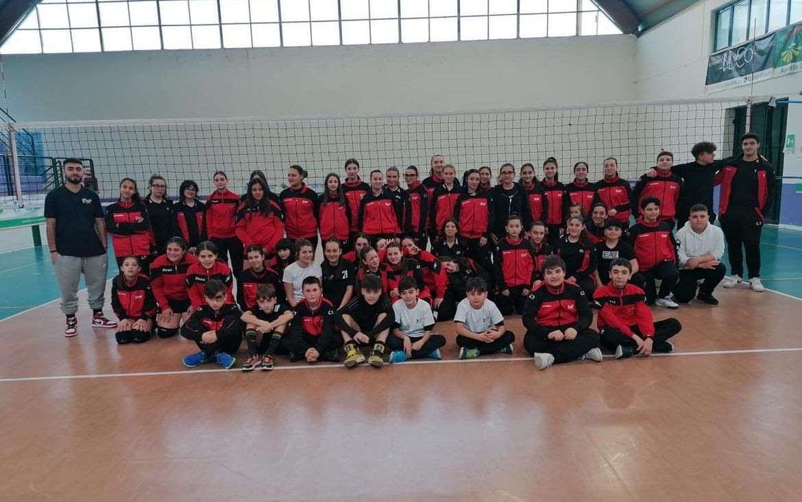 Volley Serie 