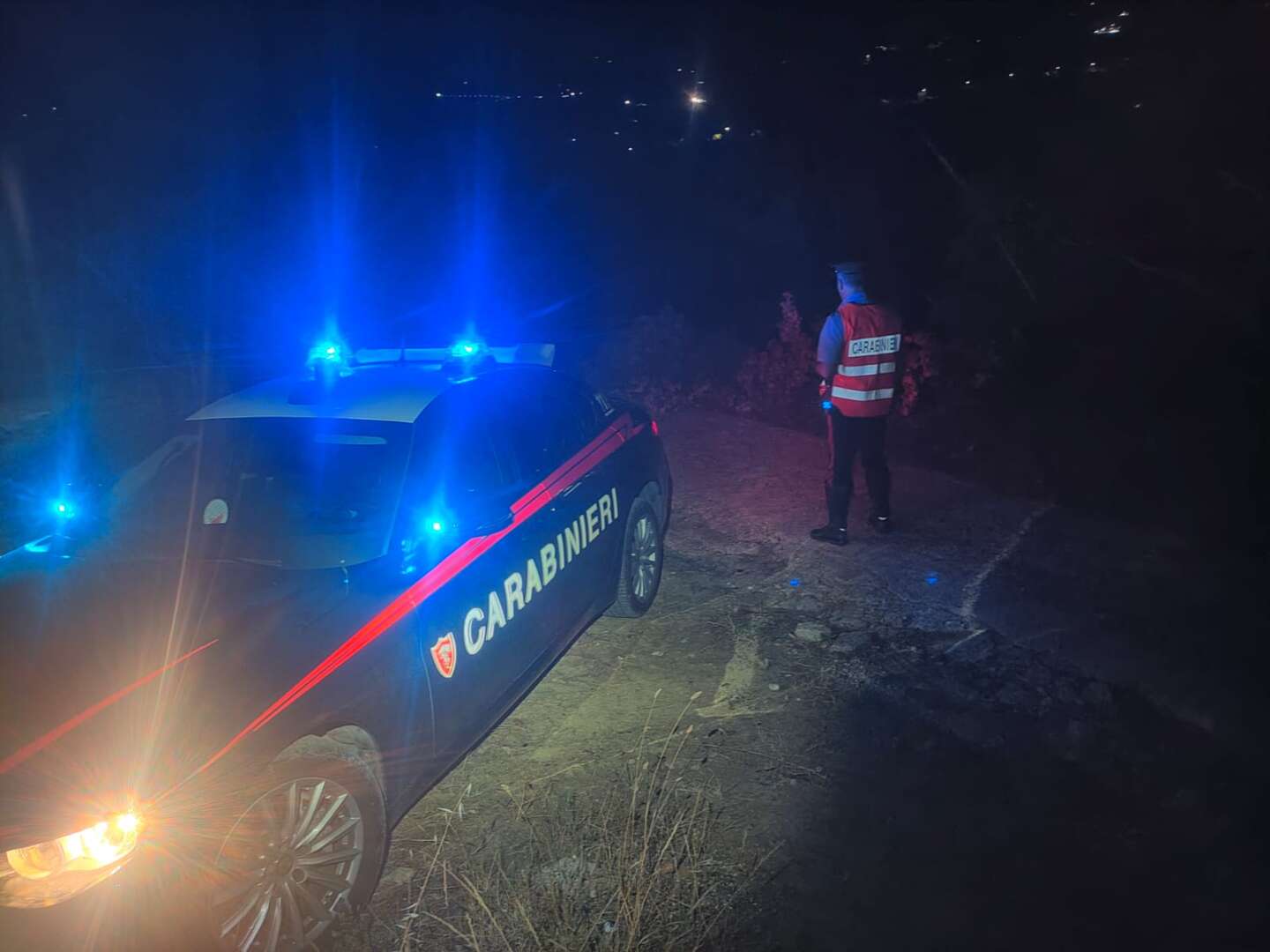 Gli cade un albero in testa e muore a 45 anni: tragedia in Irpinia