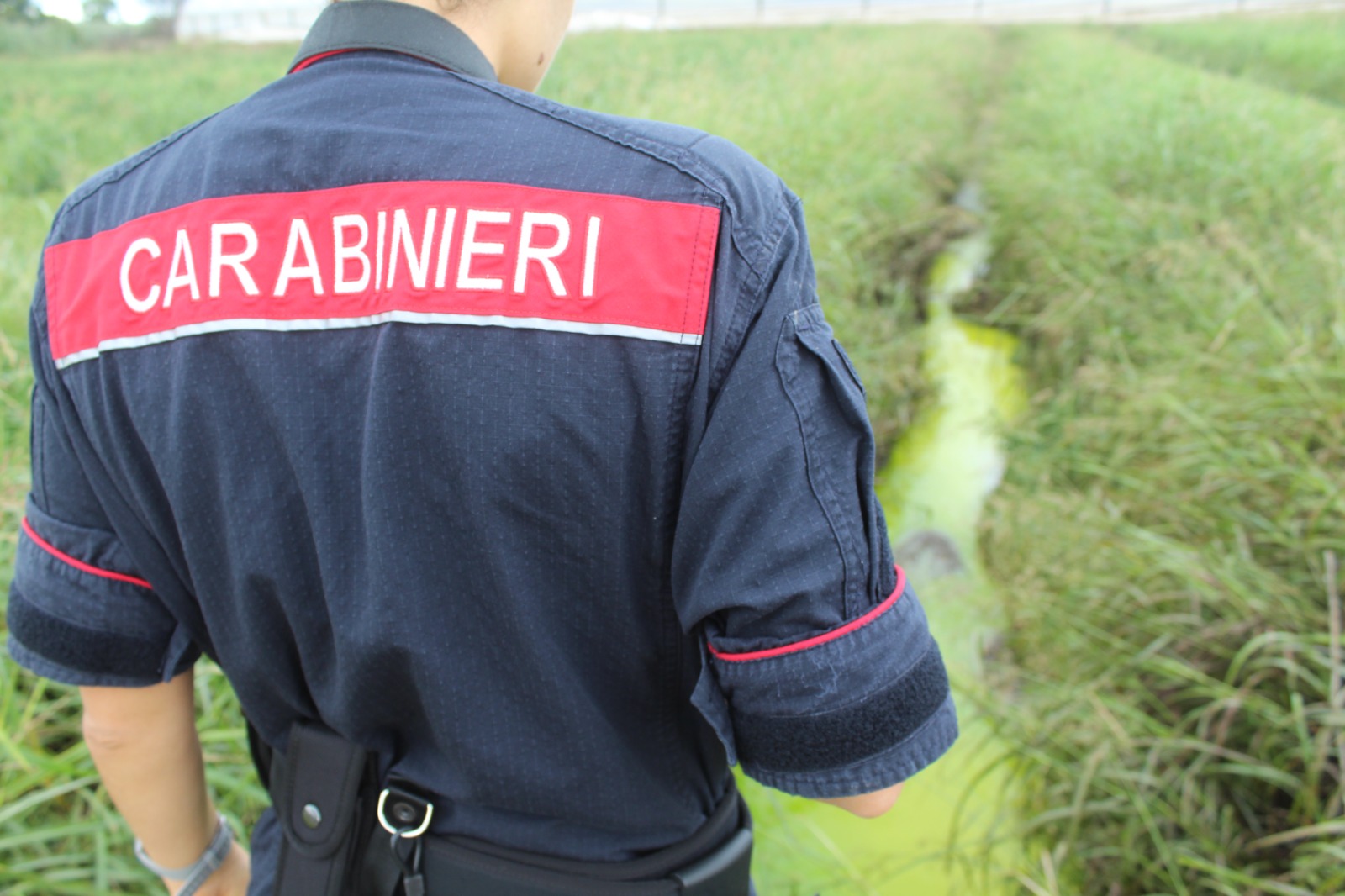 VIDEO & FOTO/ Smaltiva illecitamente reflui zootecnici e il siero in acqua: imprenditore denunciato