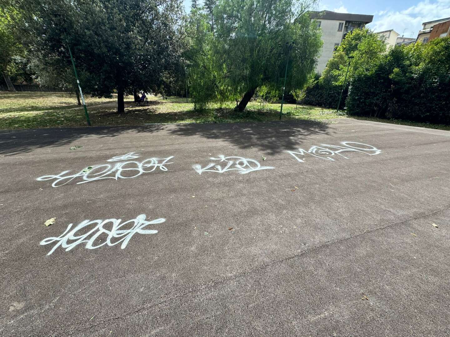 Campo di San Gennaro imbrattato, Rosa: “L’opera di un imbecille”