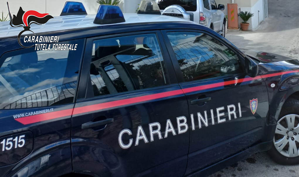 Solofra Carabinieri 