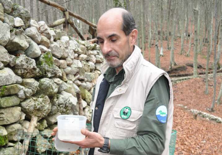 Addio a Costantino Tedeschi, custode dell’Oasi del WWF: una vita dedicata alla natura