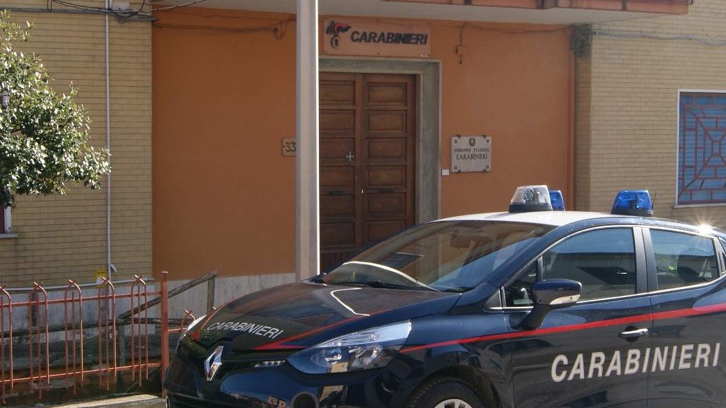 Canile trovato con gravi carenze strutturali: arrivano i Carabinieri