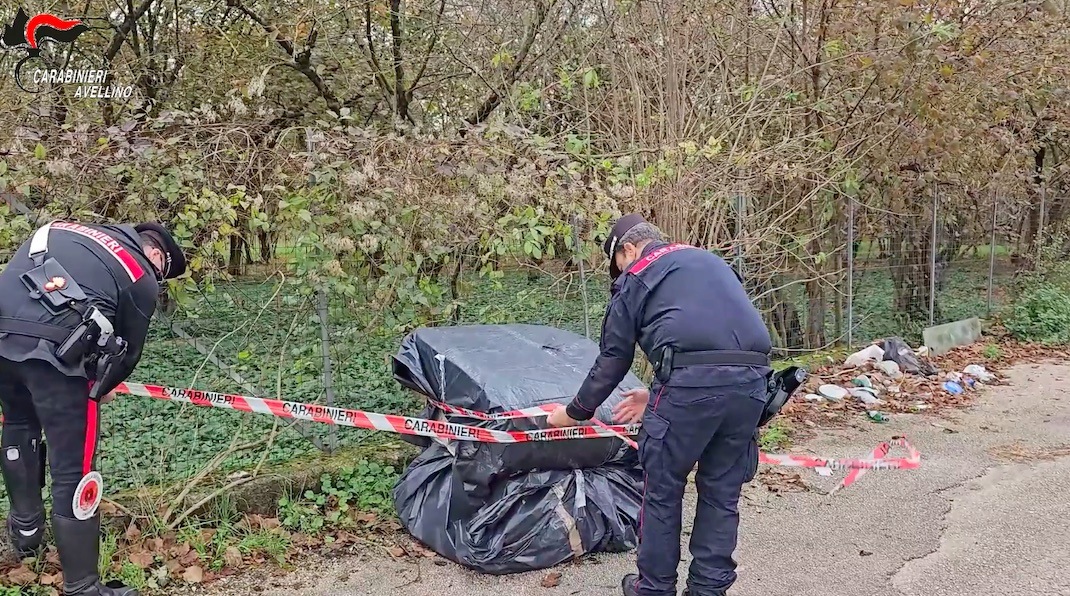 Smaltimento illecito di rifiuti e vandalismo: Carabinieri in azione