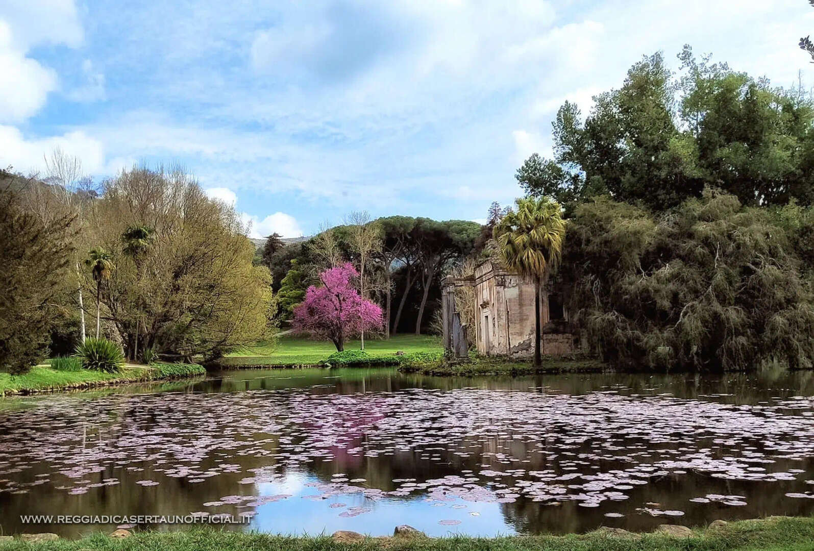 Reggia di Caserta: si arricchisce il Giardino Inglese nella Festa dell’Albero