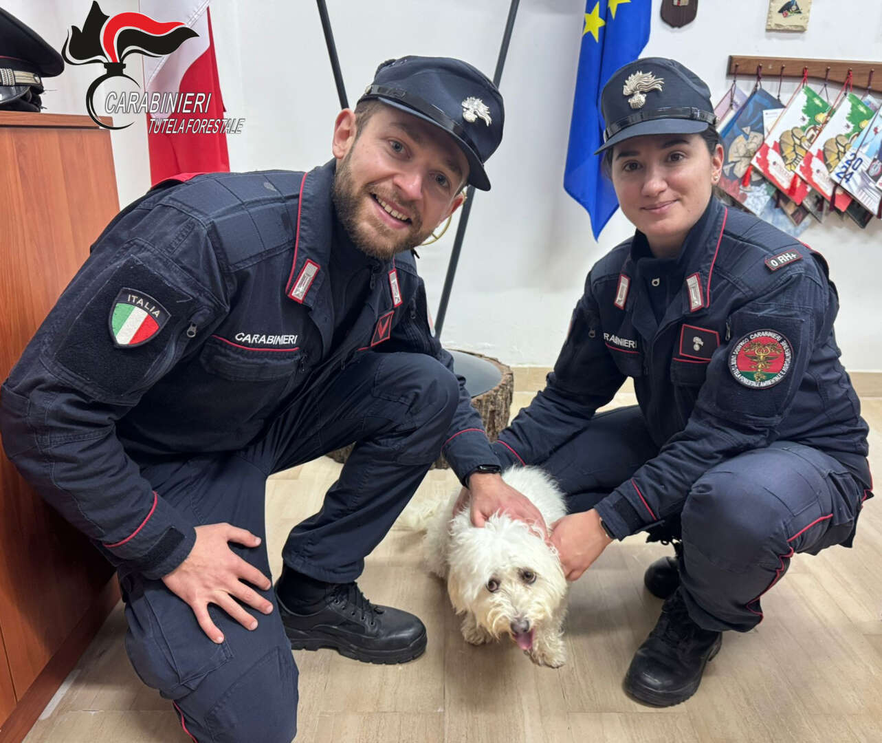 Aquilonia, i Carabinieri Forestali salvano un cane disperso