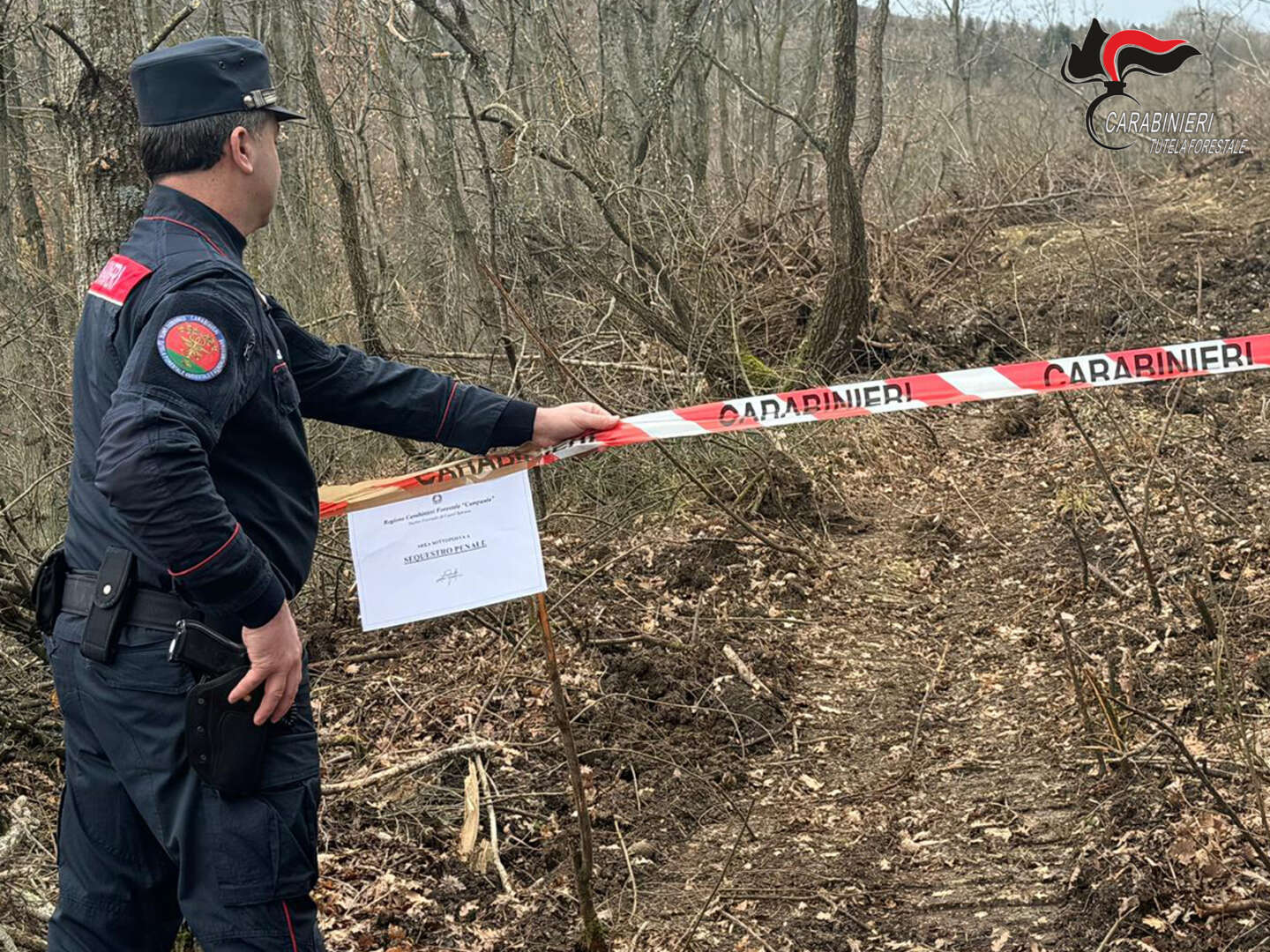 Distruzione di un bosco in area sottoposta a vincolo idrogeologico: denunciato