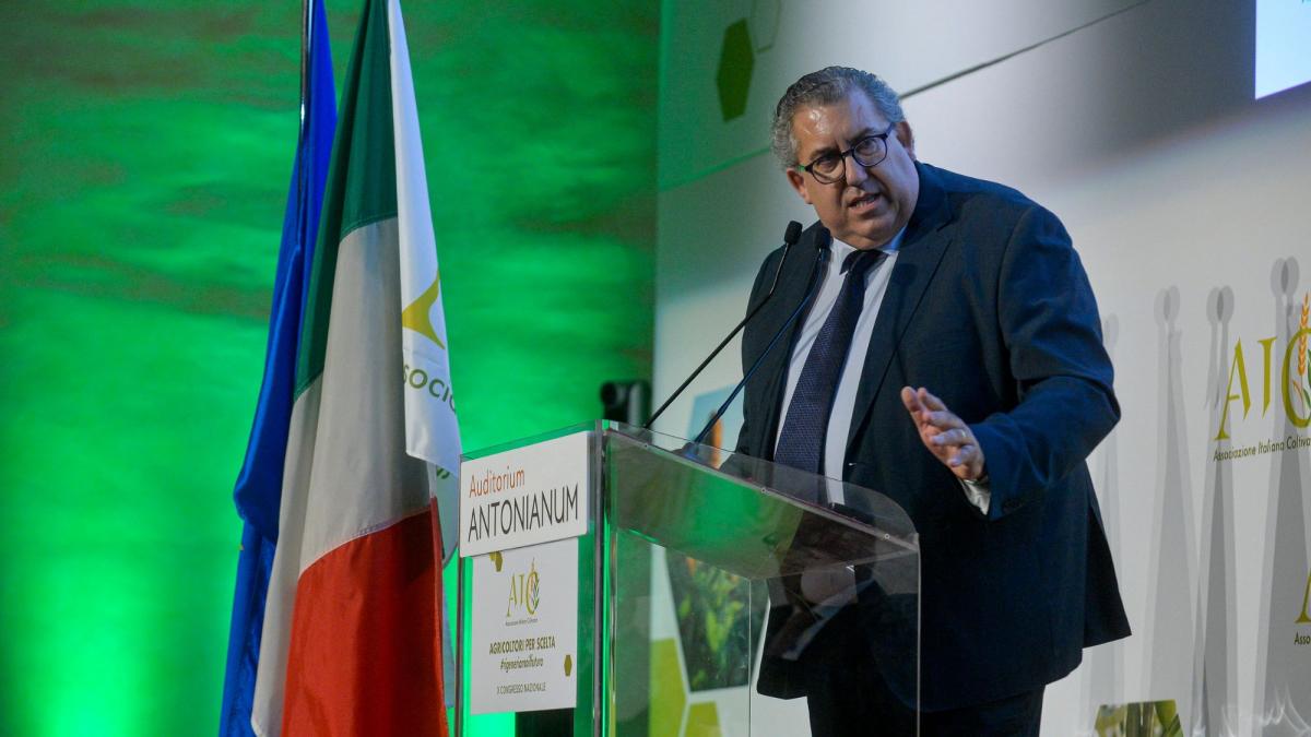 Associazione Italiana Coltivatori Campania scrive alla Regione: “Urge un tavolo tecnico esteso agli operatori delle filiere”.