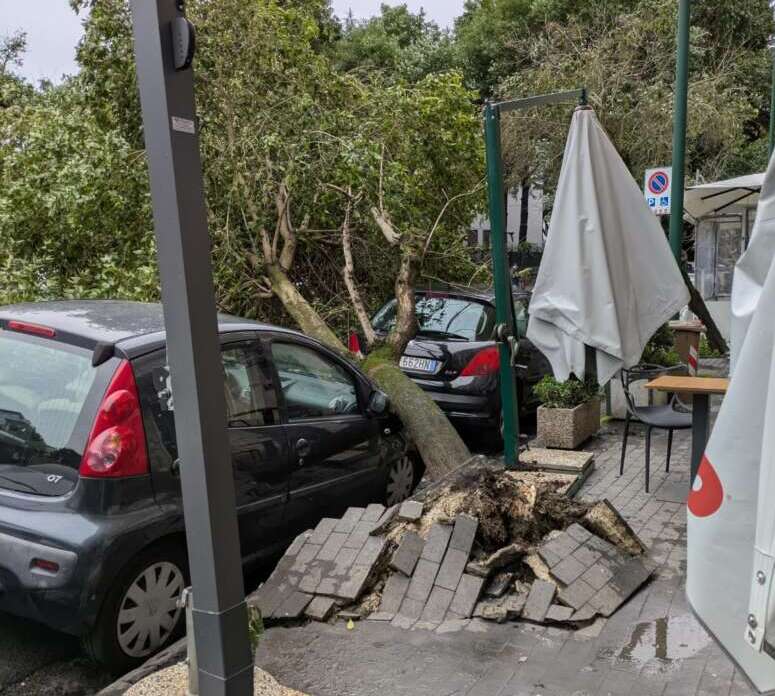 Maltempo a Napoli, cadono due alberi per il forte vento