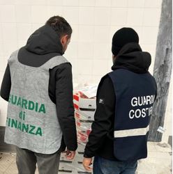 Salerno, Capitaneria di Porto: controlli sulla filiera ittica