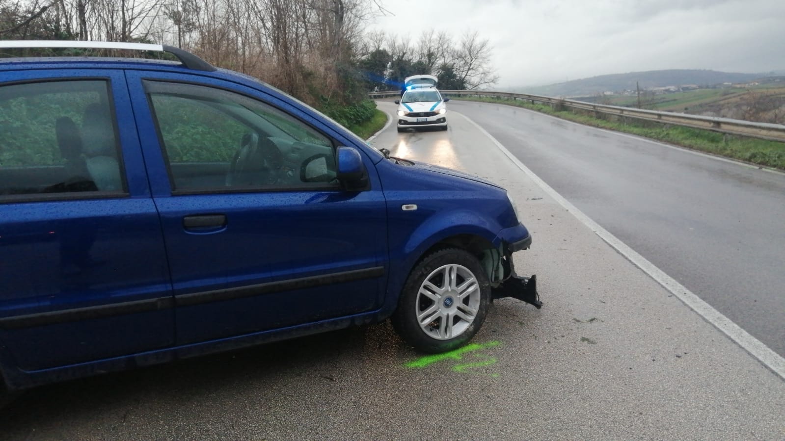 Fondo viscido e cinghiale in carreggiata: auto contro il guardrail