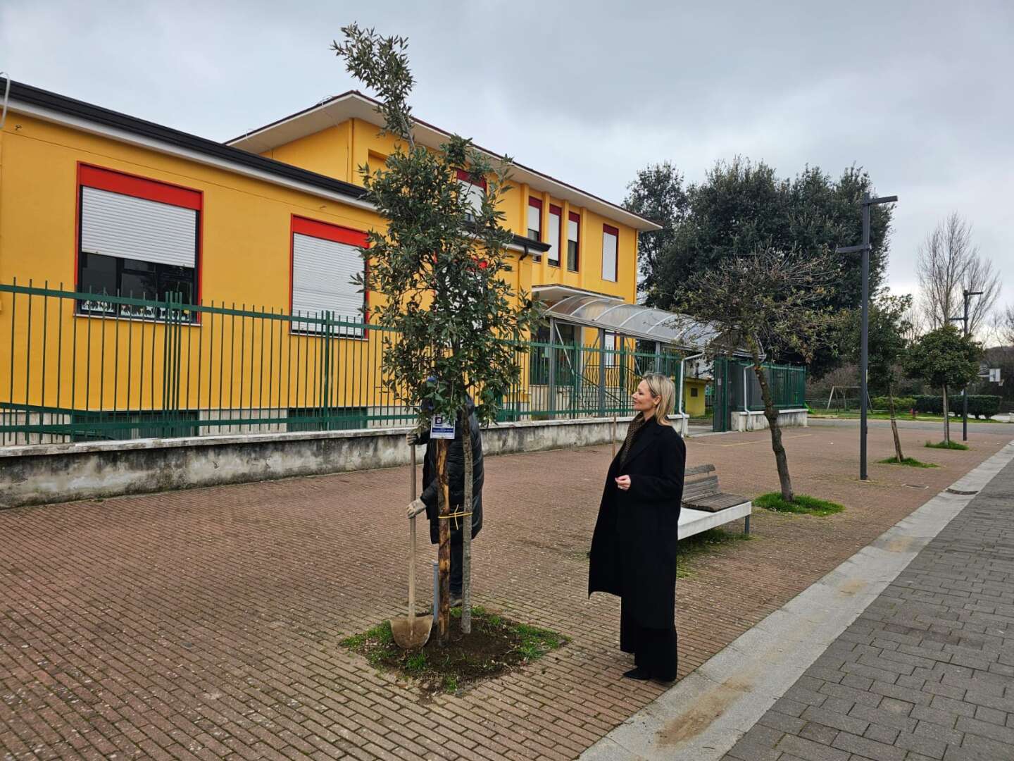 “Un albero per abitante”, il Comune ha piantumato 84 nuovi esemplari in  città