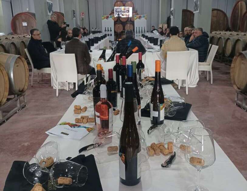 VIDEO/ La Cantina del Taburno raduna la forza vendita italiana ed estera per presentare i vini delle nuove annate