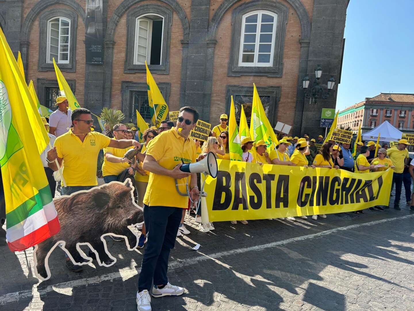 Parco Regionale del Matese, sospeso il divieto di pascolamento degli equini: accolta l’istanza di Coldiretti Caserta