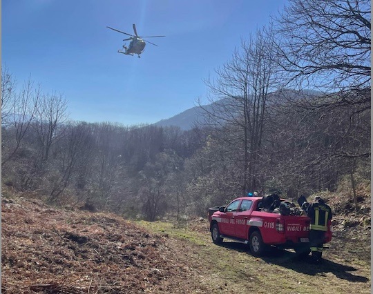 Resta incastrato sotto un grosso ramo: in elisoccorso al Moscati