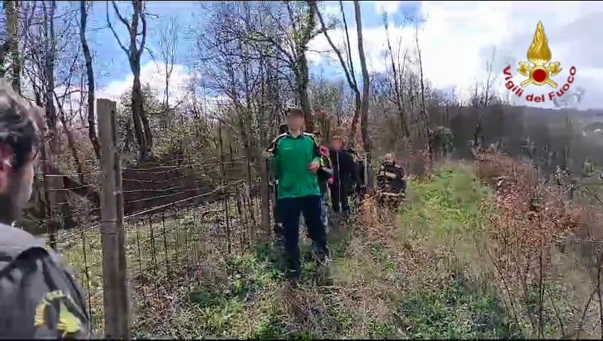 Cinghiali sulla loro strada: paura per 5 adolescenti