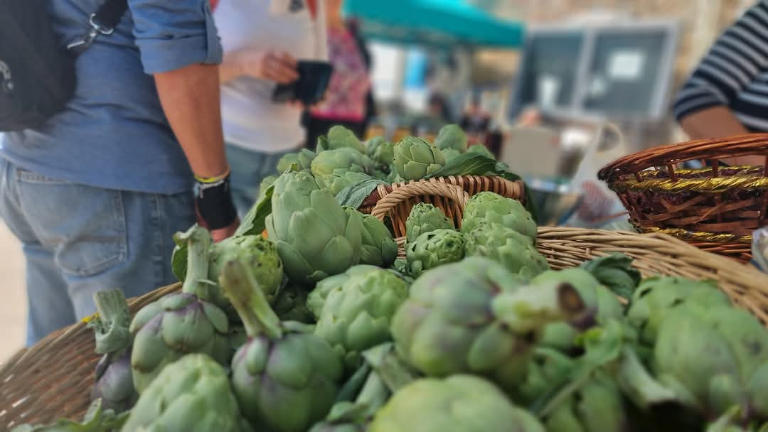 Sagra del carciofo bianco nelle stesse date, Pertosa attacca la Proloco Auletta: “Scelta sgarbata”