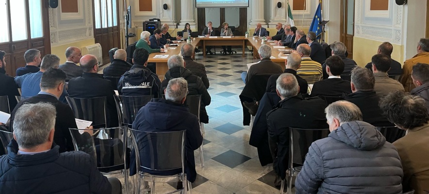 Cinghiali in aumento nel Sannio, incremento della segnaletica e dei controllo